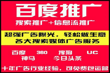 电商平台信息流广告的投放策略与效果评估案例